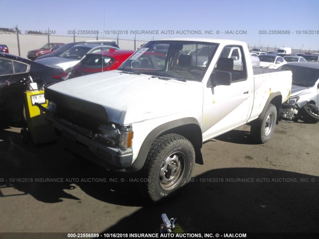 1N6ND11Y4JC372149 - 1988 NISSAN D21 SHORT BED WHITE photo 2