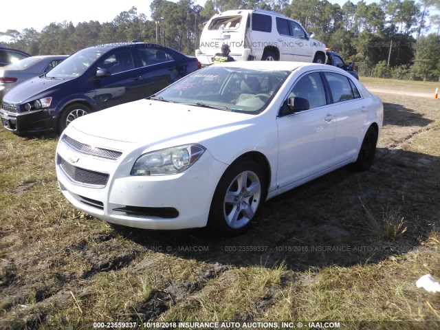 1G1ZA5E06AF106437 - 2010 CHEVROLET MALIBU LS თეთრი ფოტო 2
