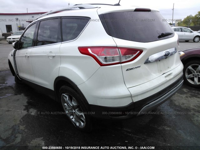 1FMCU9J91EUA39579 - 2014 FORD ESCAPE TITANIUM WHITE photo 3