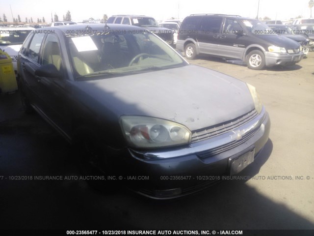 1G1ZU64834F177068 - 2004 CHEVROLET MALIBU MAXX LT GRAY photo 1