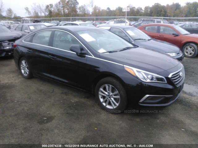 5NPE24AFXGH426057 - 2016 HYUNDAI SONATA SE BLACK photo 1