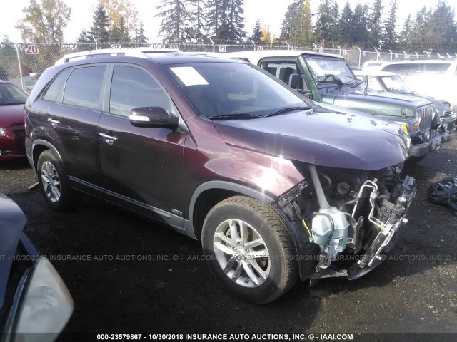 5XYKTCA65EG506042 - 2014 KIA SORENTO LX BURGUNDY photo 1