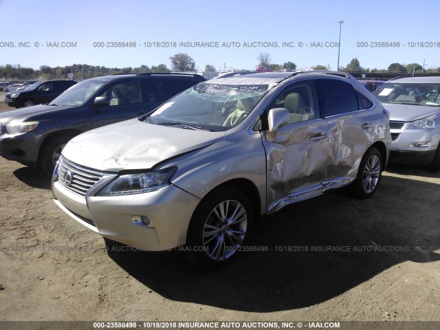 2T2ZK1BA9DC103258 - 2013 LEXUS RX 350 GOLD photo 2