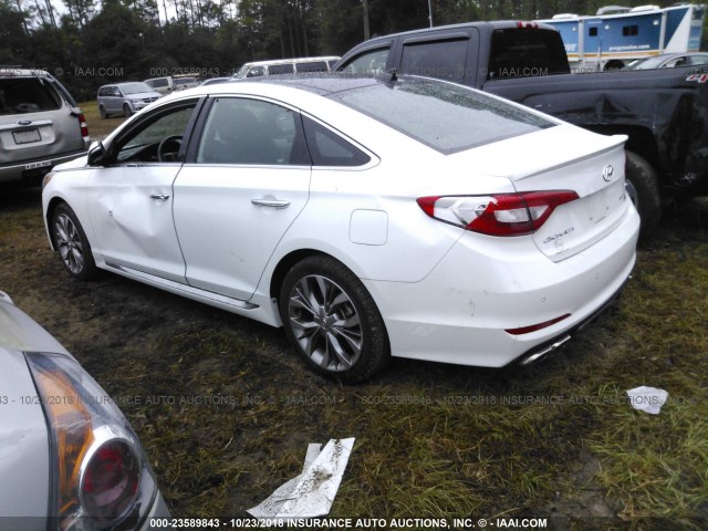 5NPE34AB1FH181576 - 2015 HYUNDAI SONATA SPORT/LIMITED WHITE photo 3