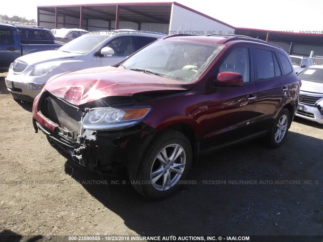 5XYZKDAG2CG146046 - 2012 HYUNDAI SANTA FE LIMITED RED photo 2