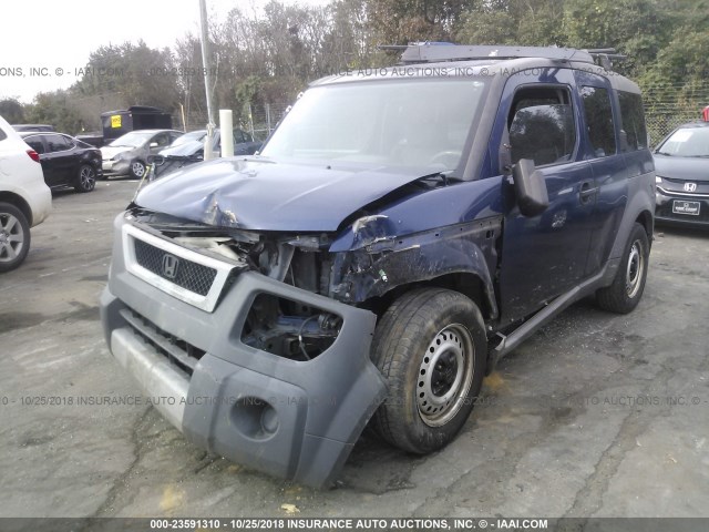 5J6YH18213L000822 - 2003 HONDA ELEMENT DX Dark Blue photo 6