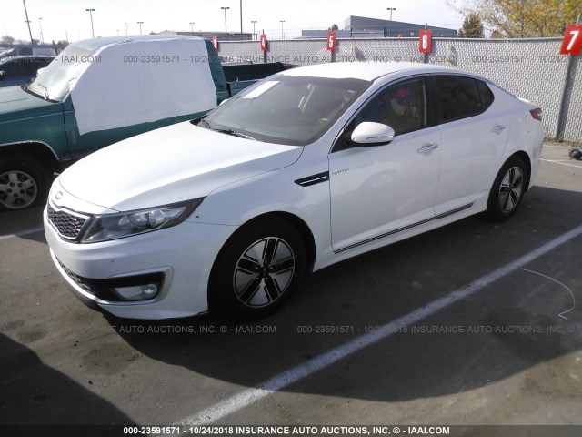 KNAGM4AD0D5041018 - 2013 KIA OPTIMA HYBRID WHITE photo 2