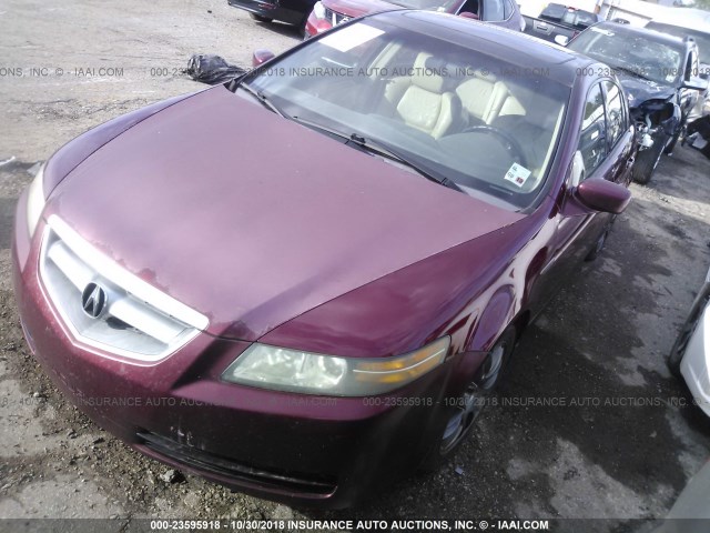 19UUA66295A022124 - 2005 ACURA TL MAROON photo 2