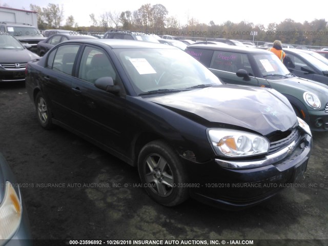 1G1ZT54885F243919 - 2005 CHEVROLET MALIBU LS ლურჯი ფოტო 1