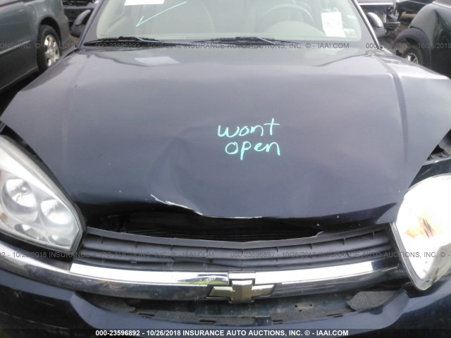 1G1ZT54885F243919 - 2005 CHEVROLET MALIBU LS ლურჯი ფოტო 10