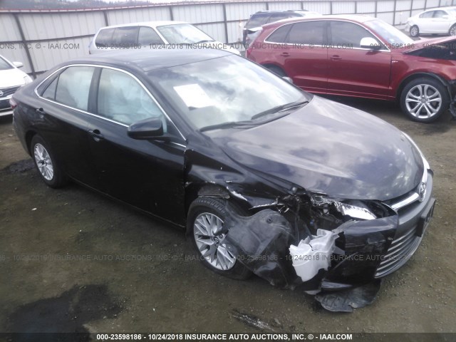 4T1BF1FK3GU247565 - 2016 TOYOTA CAMRY LE/XLE/SE/XSE BLACK photo 1
