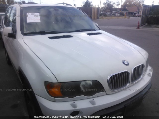 5UXFB33572LH36143 - 2002 BMW X5 4.4I WHITE photo 6