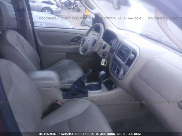 1FMCU04187KA50823 - 2007 FORD ESCAPE LIMITED RED photo 5