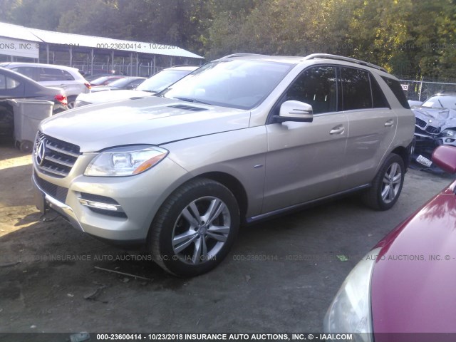 4JGDA5HB7CA028776 - 2012 MERCEDES-BENZ ML 350 4MATIC GOLD photo 2