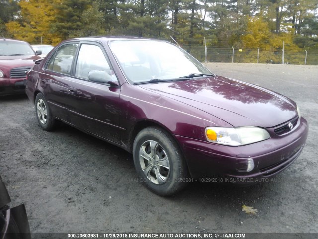 2T1BR18E6WC081492 - 1998 TOYOTA COROLLA VE/CE/LE MAROON photo 1