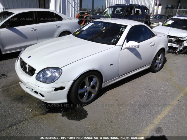 WDBKK65F33F282248 - 2003 MERCEDES-BENZ SLK 320 WHITE photo 2