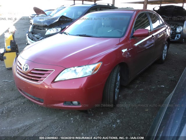 4T1BE46K49U416354 - 2009 TOYOTA CAMRY SE/LE/XLE RED photo 2