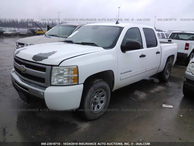 3GCRCREA5AG211017 - 2010 CHEVROLET SILVERADO C1500  LS WHITE photo 2