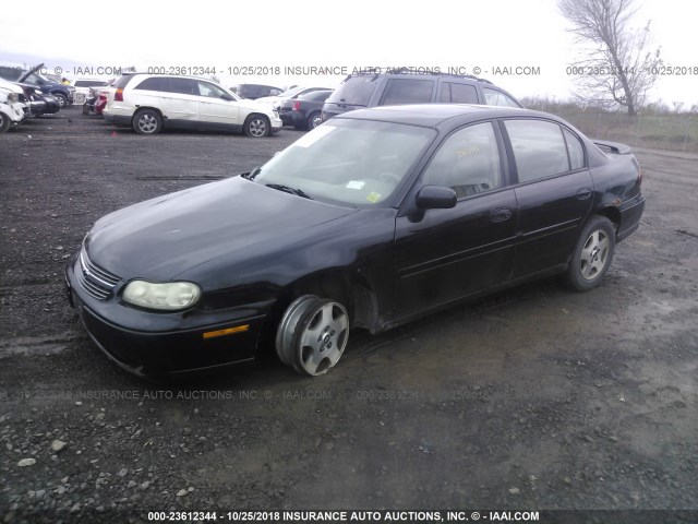 1G1NE52J33M533881 - 2003 CHEVROLET MALIBU LS Qara foto 2