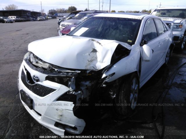 4T1BE46K27U672215 - 2007 TOYOTA CAMRY NEW GENERAT CE/LE/XLE/SE WHITE photo 2