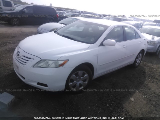 4T1BE46K97U616613 - 2007 TOYOTA CAMRY NEW GENERAT CE/LE/XLE/SE WHITE photo 2