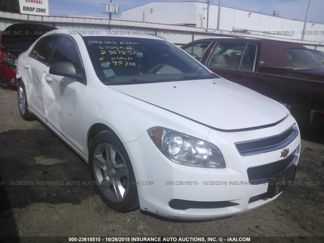 1G1ZA5EU3CF295716 - 2012 CHEVROLET MALIBU LS 白色 照片 1