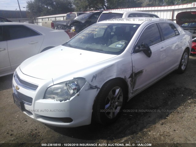 1G1ZA5EU3CF295716 - 2012 CHEVROLET MALIBU LS 白色 照片 2