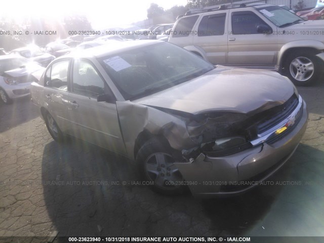 1G1ZT52895F169493 - 2005 CHEVROLET MALIBU LS შამპანური ფოტო 1