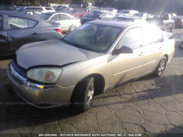 1G1ZT52895F169493 - 2005 CHEVROLET MALIBU LS შამპანური ფოტო 2