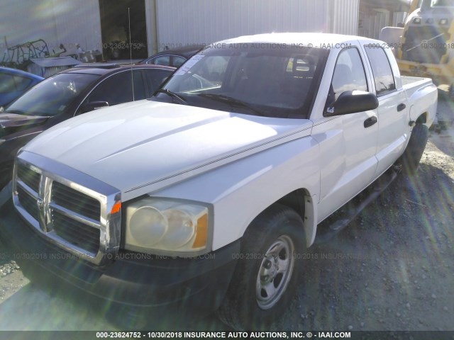 1D7HE28K55S210374 - 2005 DODGE DAKOTA QUAD/ST WHITE photo 2