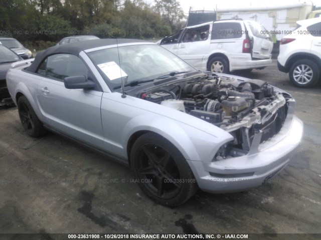 1ZVFT84N065222259 - 2006 FORD MUSTANG SILVER photo 1