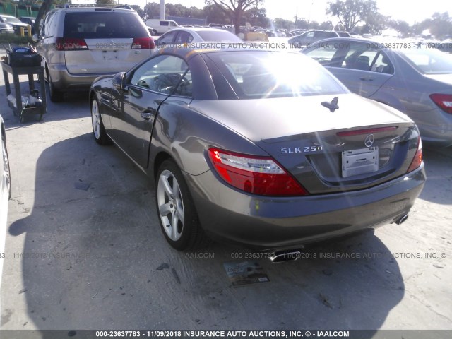 WDDPK4HA7CF040015 - 2012 MERCEDES-BENZ SLK 250 BROWN photo 3