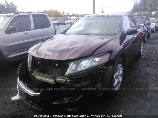 5J6TF2H5XCL009552 - 2012 HONDA CROSSTOUR EXL მუქწითელი ფოტო 2