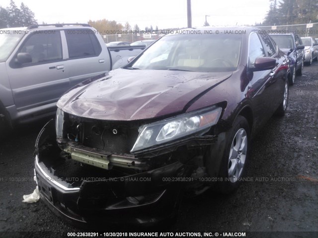 5J6TF2H5XCL009552 - 2012 HONDA CROSSTOUR EXL MAROON photo 2