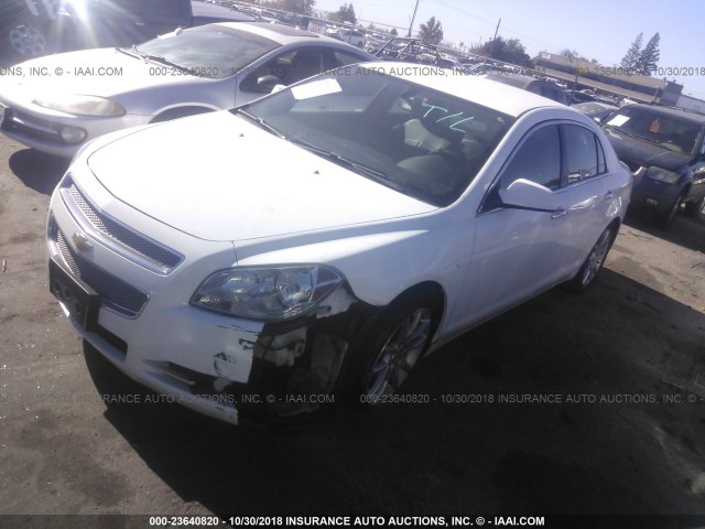 1G1ZE5E18BF362433 - 2011 CHEVROLET MALIBU LTZ 白色 照片 2