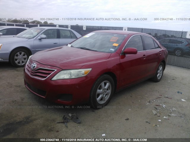 4T4BF3EK1AR051750 - 2010 TOYOTA CAMRY SE/LE/XLE RED photo 2