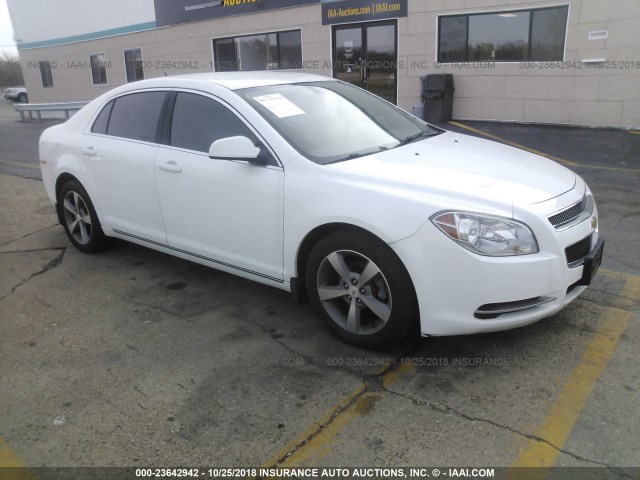1G1ZC5E13BF286514 - 2011 CHEVROLET MALIBU 1LT WHITE photo 1