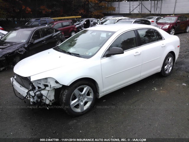 1G1ZB5E02CF200136 - 2012 CHEVROLET MALIBU LS Ağ foto 2