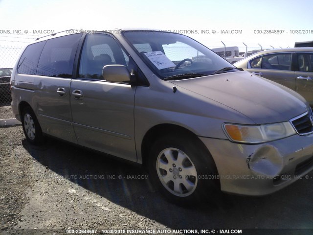 5FNRL18932B013532 - 2002 HONDA ODYSSEY EXL GOLD photo 1