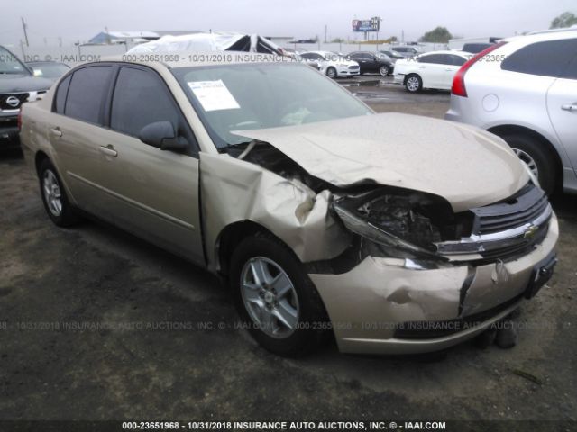 1G1ZT52895F328707 - 2005 CHEVROLET MALIBU LS ოქროსფერი ფოტო 1