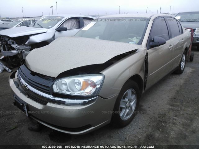 1G1ZT52895F328707 - 2005 CHEVROLET MALIBU LS ოქროსფერი ფოტო 2