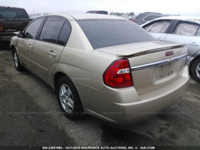 1G1ZT52895F328707 - 2005 CHEVROLET MALIBU LS ოქროსფერი ფოტო 3