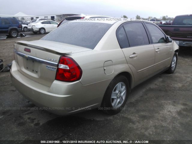 1G1ZT52895F328707 - 2005 CHEVROLET MALIBU LS ოქროსფერი ფოტო 4