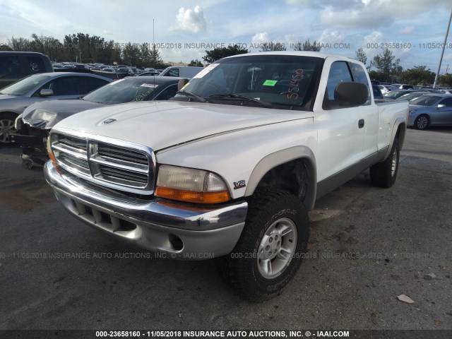 1B7GG22N2YS551450 - 2000 DODGE DAKOTA WHITE photo 2