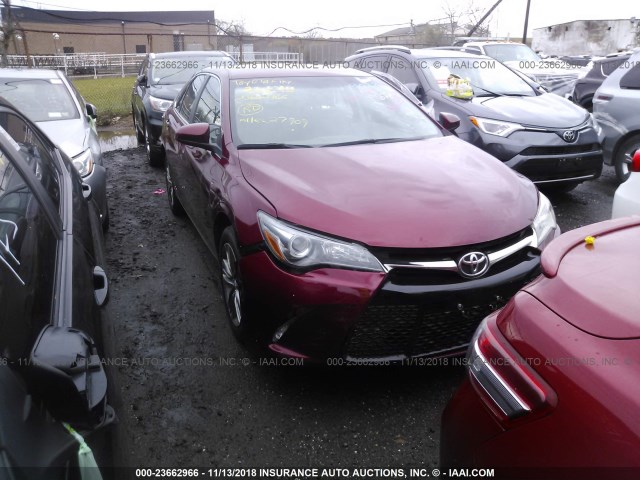 4T1BF1FKXHU749622 - 2017 TOYOTA CAMRY LE/XLE/SE/XSE RED photo 1