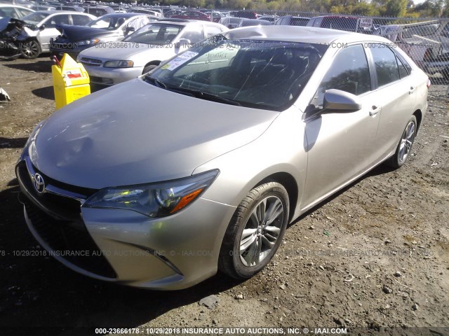 4T1BF1FKXGU243657 - 2016 TOYOTA CAMRY LE/XLE/SE/XSE 金色 照片 2