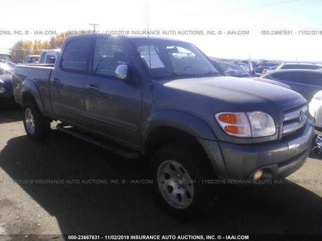 5TBDT44164S459385 - 2004 TOYOTA TUNDRA DOUBLE CAB SR5 GRAY photo 1