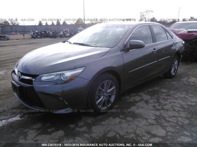 4T1BF1FK0HU382701 - 2017 TOYOTA CAMRY LE/XLE/SE/XSE GRAY photo 2