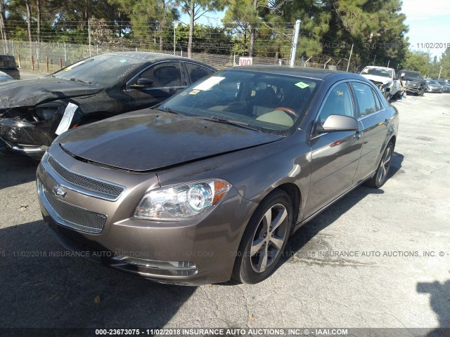1G1ZC5EB1A4147520 - 2010 CHEVROLET MALIBU 1LT BROWN photo 2