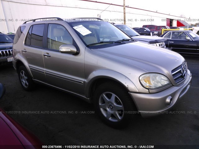 4JGAB75E42A310642 - 2002 MERCEDES-BENZ ML Champagne photo 1